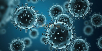 Influenza Virus H1N1