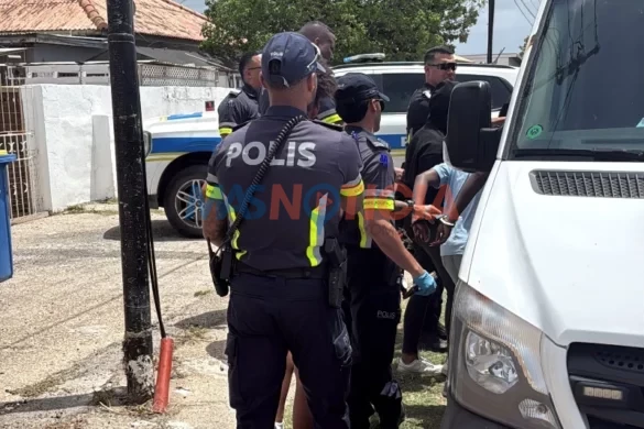 2726bringamentolasalle (10)